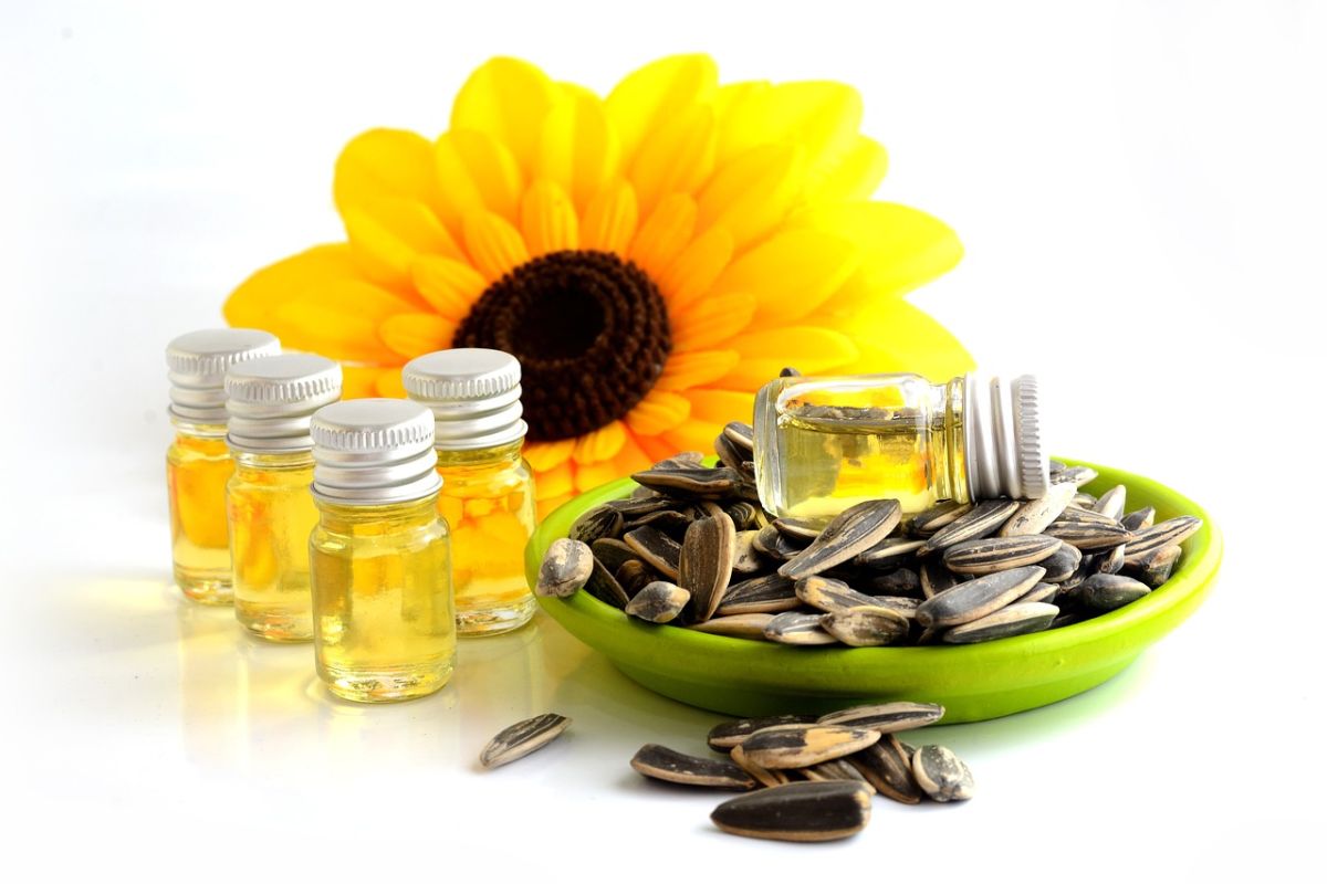 Manfaat minyak biji bunga matahari beserta harga pasarannya
